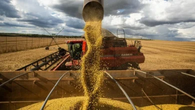 Prazo final para o ITR 2026 exige atenção de produtores rurais sob risco de multas