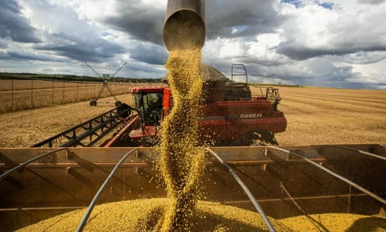 Prazo final para o ITR 2026 exige atenção de produtores rurais sob risco de multas
