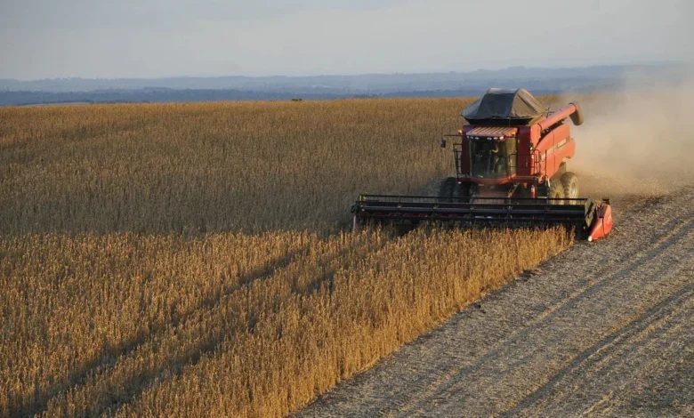 Produtores de Goiás adiantam semeadura da soja para 20 de setembro devido ao risco do El Niño
