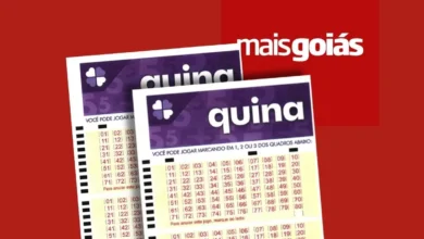 Quina 7117 premia apostadores goianos com acertos na quadra