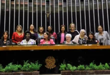 Representatividade feminina na política brasileira enfrenta desafios estruturais