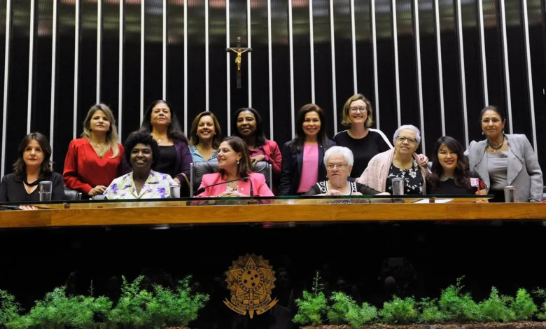 Representatividade feminina na política brasileira enfrenta desafios estruturais