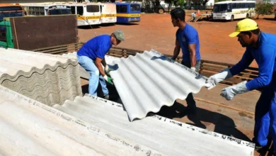 Supremo Tribunal Federal veta extração de amianto em Goiás