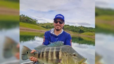 Tucunaré-azul é recapturado em Itumbiara nove meses após soltura em torneio