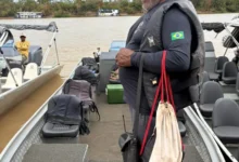 Turismo de onças no Pantanal: entre a conservação e o limite da exploração