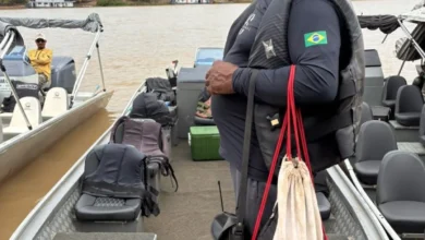 Turismo de onças no Pantanal: entre a conservação e o limite da exploração