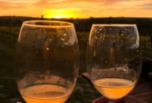Vinho em Goiás: expansão vitivinícola consolida 12 vinícolas no estado