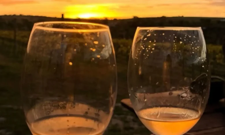 Vinho em Goiás: expansão vitivinícola consolida 12 vinícolas no estado