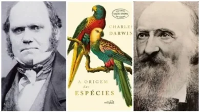 A correspondência secreta que uniu Charles Darwin ao naturalista Fritz Müller