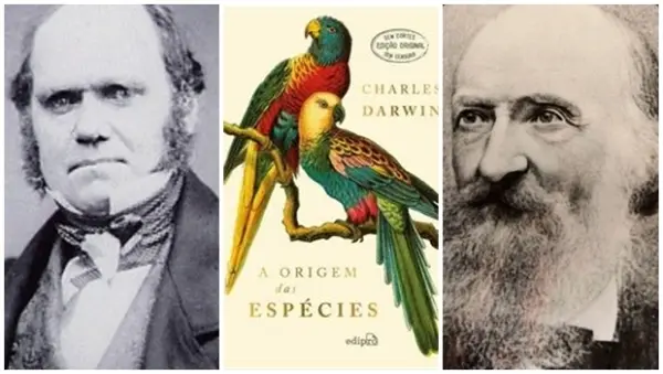 A correspondência secreta que uniu Charles Darwin ao naturalista Fritz Müller