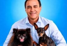 A queda de Veter Martins e os limites da causa animal nas urnas