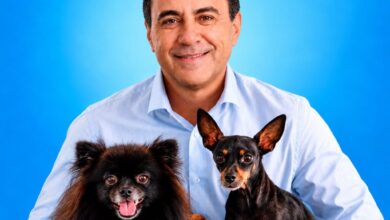 A queda de Veter Martins e os limites da causa animal nas urnas