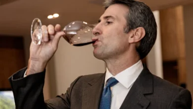 A reinvenção do vinho chileno diante das mudanças climáticas e novos hábitos