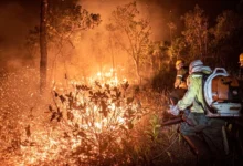 Ação humana intencional causa explosão de queimadas no Amazonas
