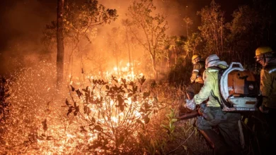 Ação humana intencional causa explosão de queimadas no Amazonas