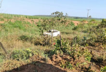 Acidente com animal silvestre na Go-341 resulta em morte de motorista em Mineiros