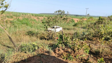 Acidente com animal silvestre na Go-341 resulta em morte de motorista em Mineiros
