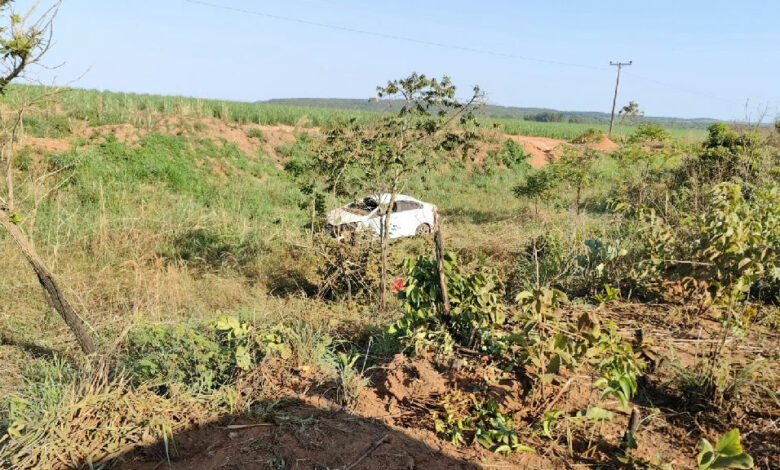 Acidente com animal silvestre na Go-341 resulta em morte de motorista em Mineiros