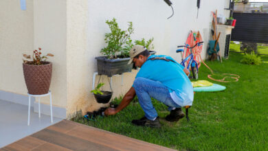 Ações de combate ao Aedes aegypti são intensificadas em Senador Canedo