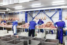 Acordo com a Europa pode elevar exportações goianas em milhões, projeta Fieg