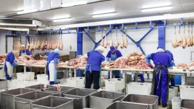 Acordo com a Europa pode elevar exportações goianas em milhões, projeta Fieg