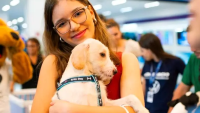 Adoção de cães ganha espaço em shopping de Goiânia neste sábado