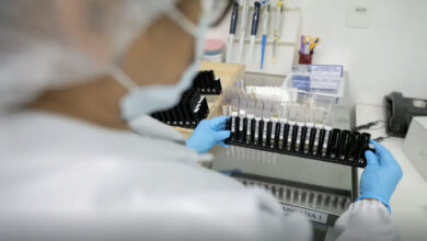 Anvisa autoriza início de testes em humanos da vacina da UFMG contra a malária