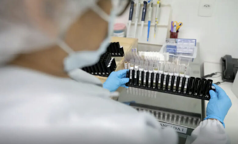 Anvisa autoriza início de testes em humanos da vacina da UFMG contra a malária