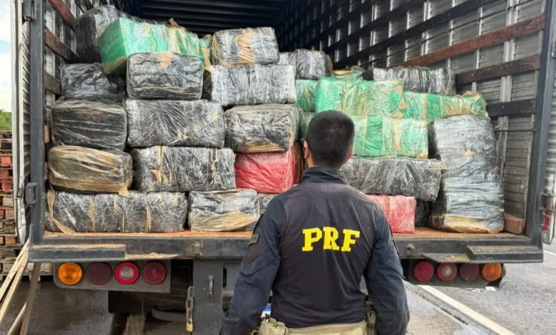 Apreensão recorde de super maconha em Morrinhos mobiliza agentes
