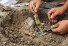 Arqueologia doméstica: morador encontra relíquia de 3 mil anos em quintal