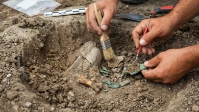 Arqueologia doméstica: morador encontra relíquia de 3 mil anos em quintal