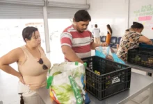 Banco de Alimentos da OVG amplia cadastro para distribuição semanal em Goiânia