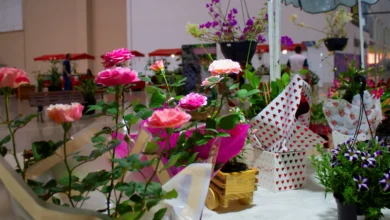 Bazar Estação das Plantas celebra 30ª edição com ofertas em Goiânia