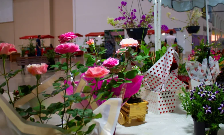Bazar Estação das Plantas celebra 30ª edição com ofertas em Goiânia