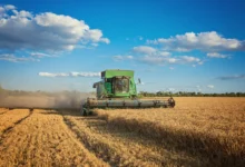 Brasil tem recuo de 20,7% em recuperações judiciais no agro em 2026 e Goiás registra 84 pedidos
