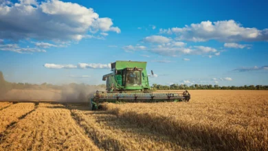 Brasil tem recuo de 20,7% em recuperações judiciais no agro em 2026 e Goiás registra 84 pedidos
