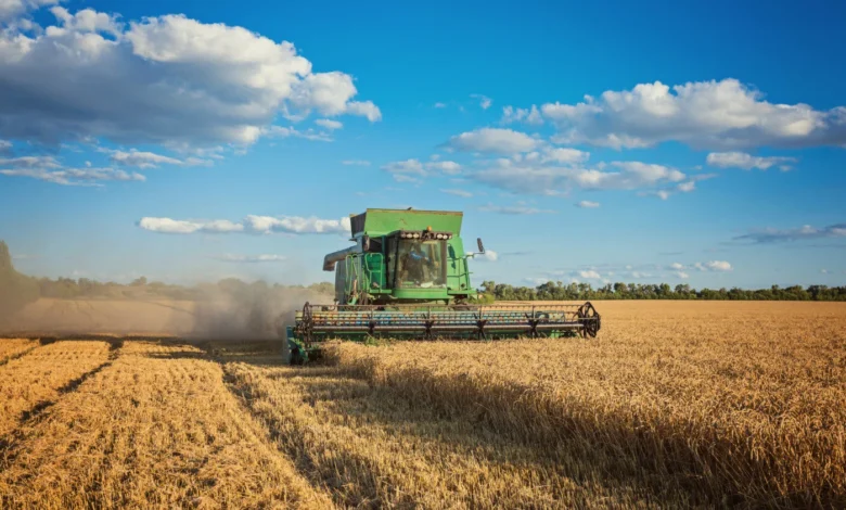 Brasil tem recuo de 20,7% em recuperações judiciais no agro em 2026 e Goiás registra 84 pedidos
