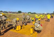 Brigada Municipal atua em 11 focos de incêndio registrados em parques de Goiânia desde agosto