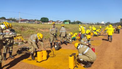 Brigada Municipal atua em 11 focos de incêndio registrados em parques de Goiânia desde agosto