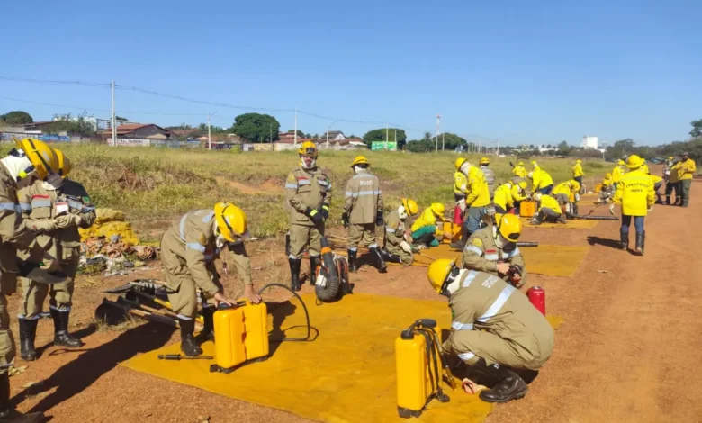 Brigadistas combatem 11 focos de incêndio em parques de Goiânia desde agosto