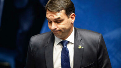 Caminhos da democracia e os desafios institucionais do brasil