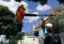 Capacitação em segurança em altura prepara 33 servidores da Comurg em Goiânia