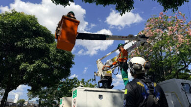 Capacitação em segurança em altura prepara 33 servidores da Comurg em Goiânia
