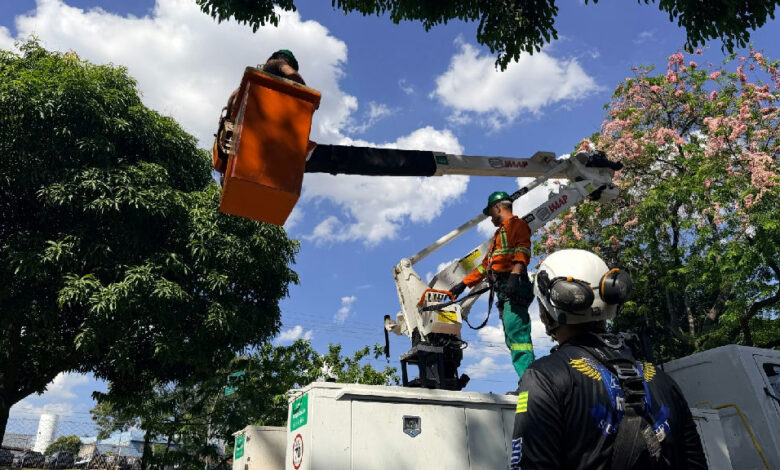 Capacitação em segurança em altura prepara 33 servidores da Comurg em Goiânia
