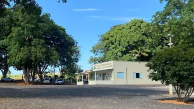 Castração gratuita em Hidrolândia reforça controle populacional e bem-estar animal