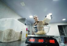 Como a inovação e a gestão feminina impulsionam a indústria de alimentos em Goiás