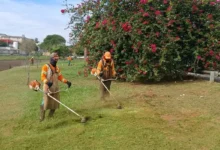 Comurg institui bônus de produtividade de até R$ 1,7 mil para equipes de roçagem