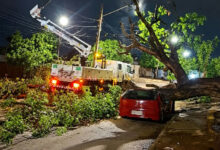 Comurg intensifica limpeza urbana em Goiânia após fortes temporais