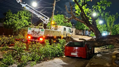 Comurg intensifica limpeza urbana em Goiânia após fortes temporais