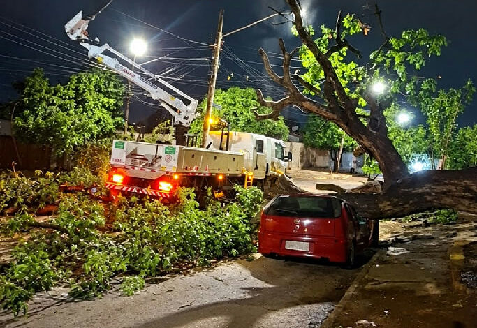 Comurg intensifica limpeza urbana em Goiânia após fortes temporais